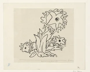 Fiori