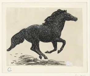 Cavallo al galoppo