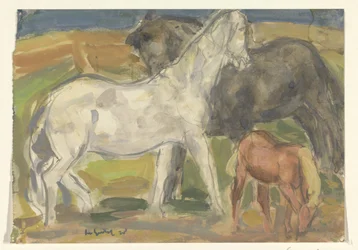 Due cavalli e un puledro in un paesaggio