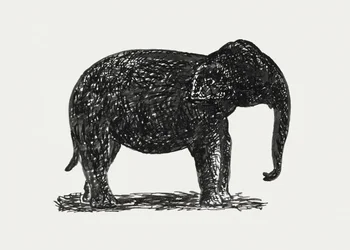 Elephant (circa 1891–1941)