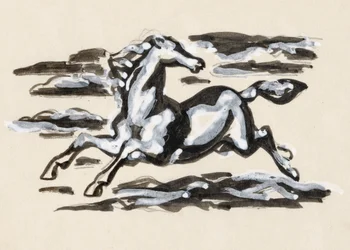 Cavallo al galoppo