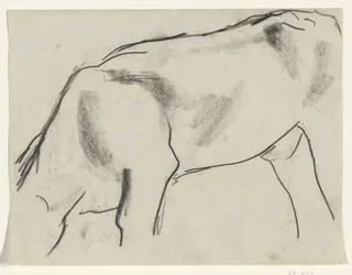 Mucca al pascolo