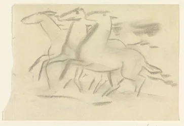 Cavalli al galoppo