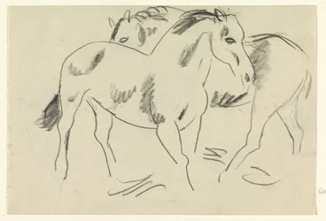Due cavalli