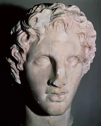 Testa di Alessandro Magno