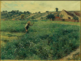 Mietitore nel campo di erba medica