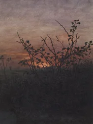 Prugnolo (?) davanti a un paesaggio al tramonto