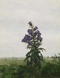 Campanula davanti a un paesaggio