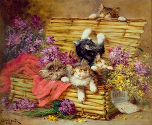 Immagine sconosciuta