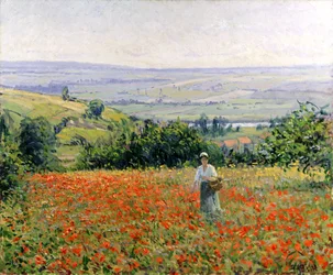 Donna in un Campo di Papaveri