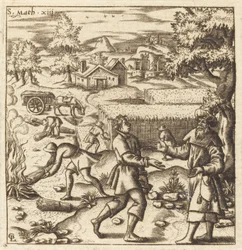 Parabola delle zizzanie nel grano