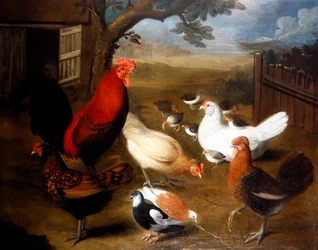 Scena di cortile con un gallo
