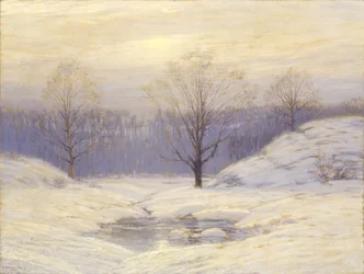 Nebbia mattutina