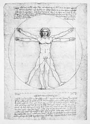 Le proporzioni della figura umana (dopo Vitruvio)