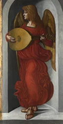 Un angelo in rosso che suona il liuto