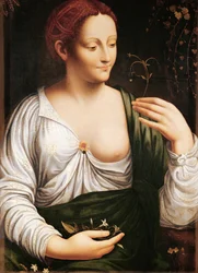 Colombina (olio su tela)