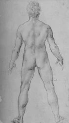 Un uomo nudo visto di schiena, circa 1480 1945