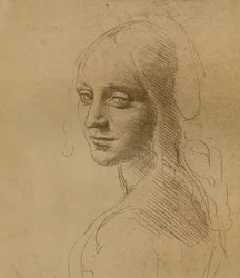 Una testa femminile, c1472-c1519 1883