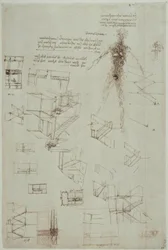 Studi anatomici