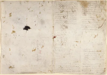 Disegni sui poteri e le forze meccaniche, percussione, gravità, movimento, ottica e astronomia, con varie proposizioni aritmetiche e geometriche