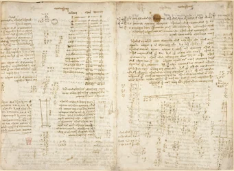 Note, diagrammi e calcoli matematici, intitolati 