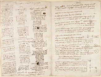Testi brevi delle profezie di Leonardo (