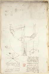 Diagrammi sull