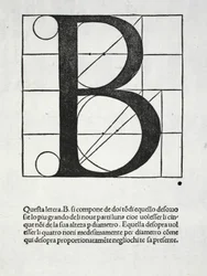 B, illustrazione da 
