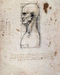 Busto di un uomo di profilo con misurazioni e note