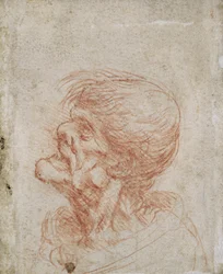 Studio di testa caricaturale di un vecchio, c.1500-05
