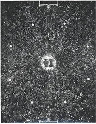 Dettaglio del soffitto a volta della Sala delle Asse con un disegno di pergola a rami geometrici, c.1498
