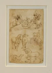 Due cavalieri che combattono contro un drago; un cavaliere e due cavalli; un cane e un cavallo ...