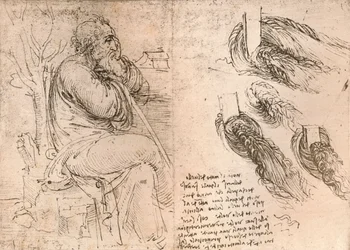 Disegno che illustra la rappresentazione dei capelli che cadono in riccioli, c1472-c1519 1883