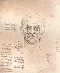 Disegno che illustra la teoria delle proporzioni nella figura umana, c1472-c1519, 1883