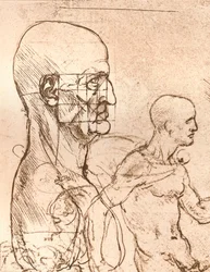 Disegno che illustra la teoria delle proporzioni della figura umana, c1472-c1519, 1883