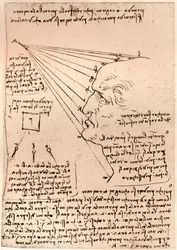 Disegno di una testa maschile, che illustra la pratica della pittura