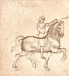 Disegno di un cavallo al passo, c1472-c1519 1883
