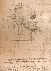 Disegno della testa di un criminale, c1472-c1519 1883