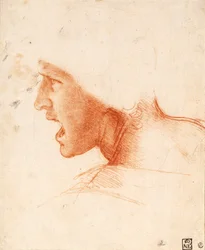 Studio di una testa di soldato per La Bataile d