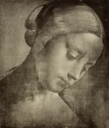 Testa femminile, disegno di Leonardo da Vinci. Gabinetto dei Disegni e delle Stampe, Galleria degli Uffizi, Firenze