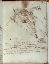 Disegno di macchina volante. Manoscritto di Leonardo da Vinci