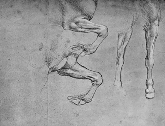 Quattro studi di gambe di cavallo, c. 1480