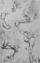 Quattro studi di zampe di cavallo, c1480