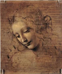 Testa di donna