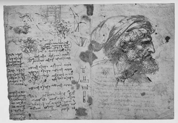 Testa e spalle di un uomo barbuto, c1480