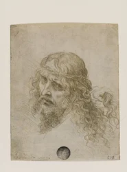 Testa di Cristo Coronata di Spine