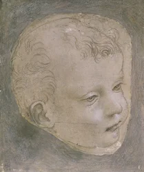 Testa di un bambino