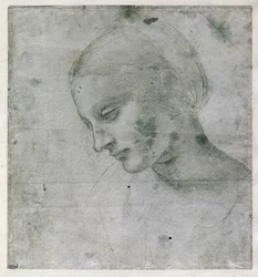 Testa di una giovane donna o Testa della Vergine, c.1490