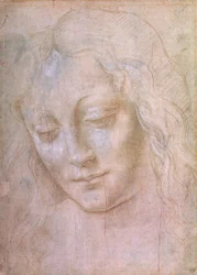 Testa di una donna
