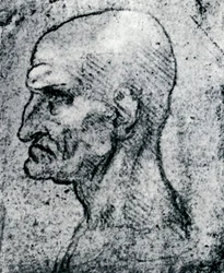 Testa di un vecchio